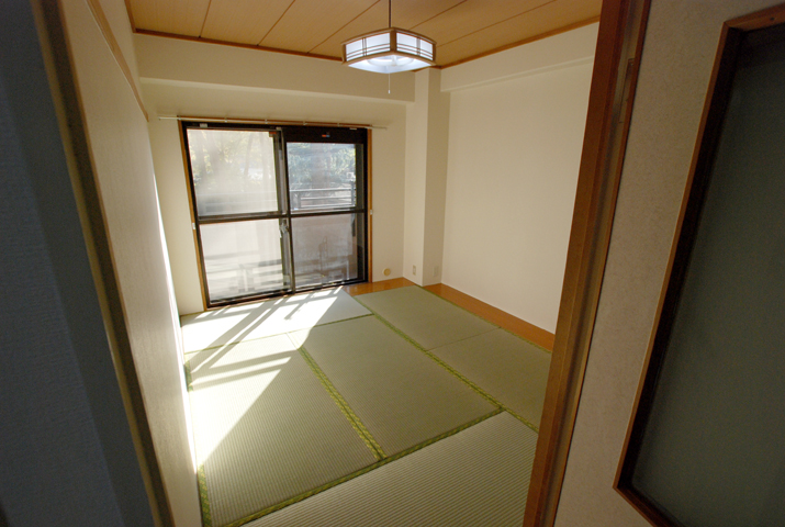 Other room space. Japanese style room