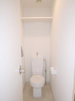Toilet. The same type model room
