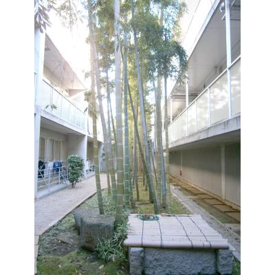 Other common areas. patio