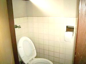 Toilet. Communal toilet