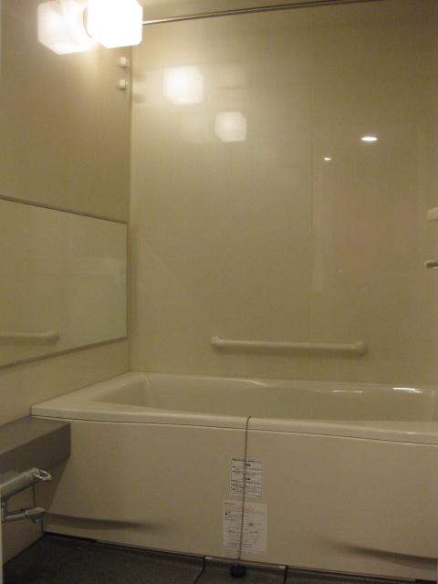 Bathroom. Indoor (11 May 2013) Shooting