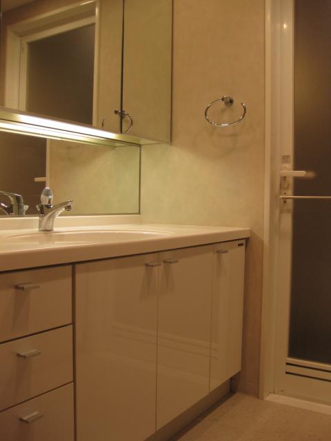 Wash basin, toilet. Indoor (11 May 2013) Shooting