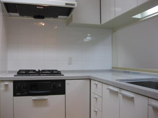 Kitchen. Indoor (11 May 2013) Shooting