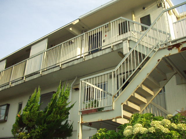 Building appearance. Mansion of the three-story is