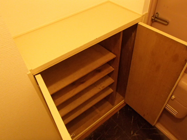 Entrance. Shoe box