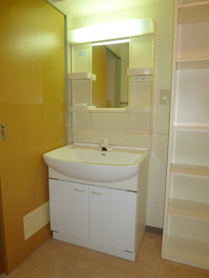 Washroom. Shampoo dresser