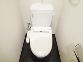 Toilet. Cleaning feature with toilet seat