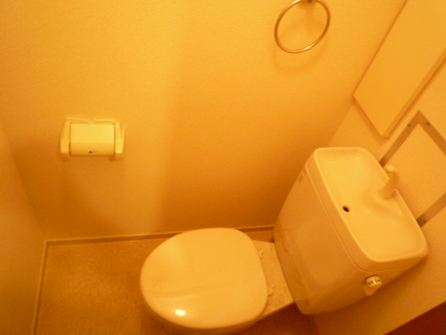 Other. Toilet