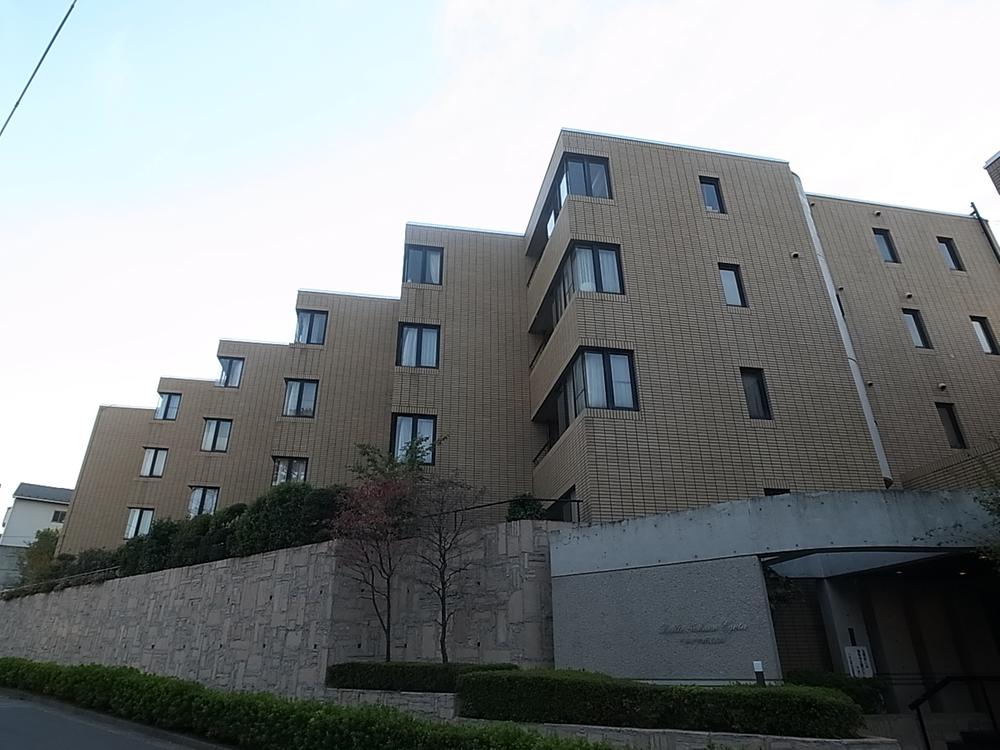 Local appearance photo. Local (11 May 2013) Shooting