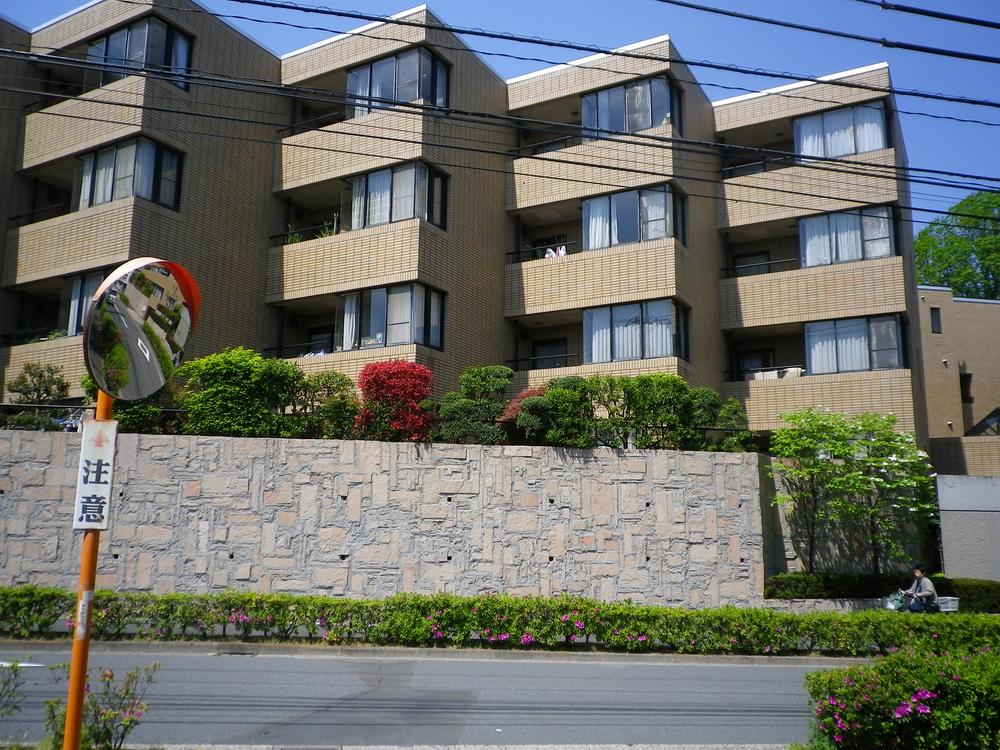 Local appearance photo. Local (11 May 2013) Shooting