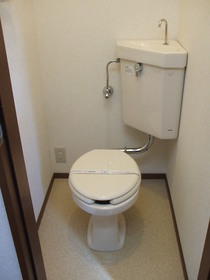 Toilet. Toilet
