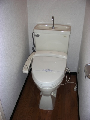 Toilet. Toilet