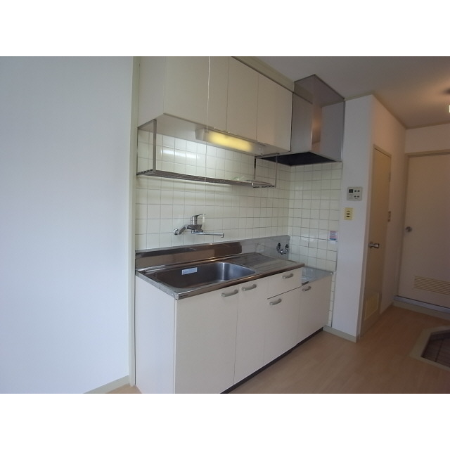 Kitchen. Two-burner gas stove installation Allowed sink of