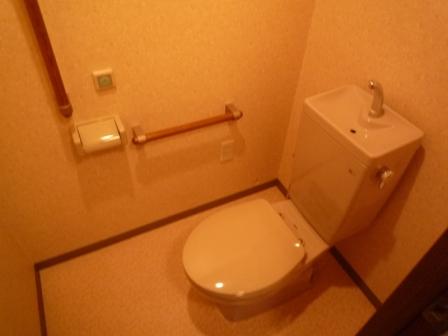 Entrance. Toilet