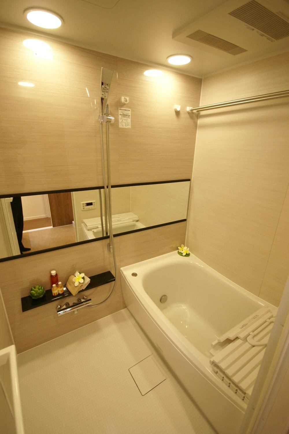 Bathroom. Indoor (12 May 2013) Shooting