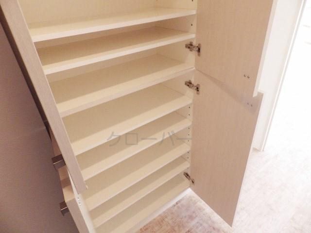 Entrance. Footwear purse