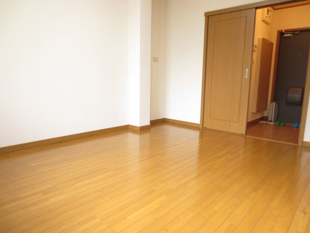 Living and room. Flooring of the room