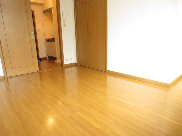 Living and room. Flooring of the room