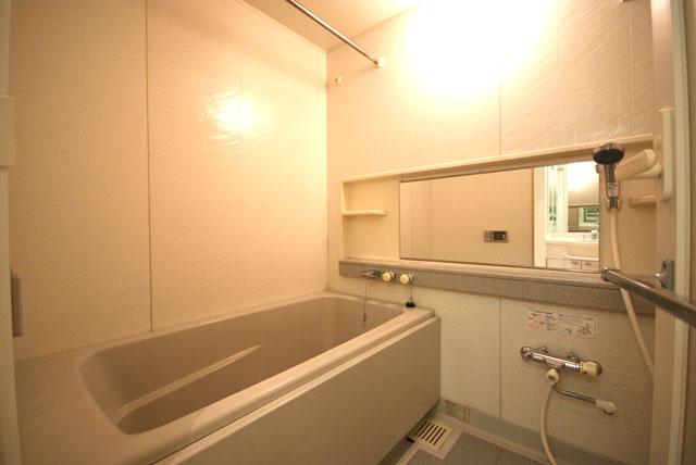 Bathroom. Indoor (10 May 2013) Shooting