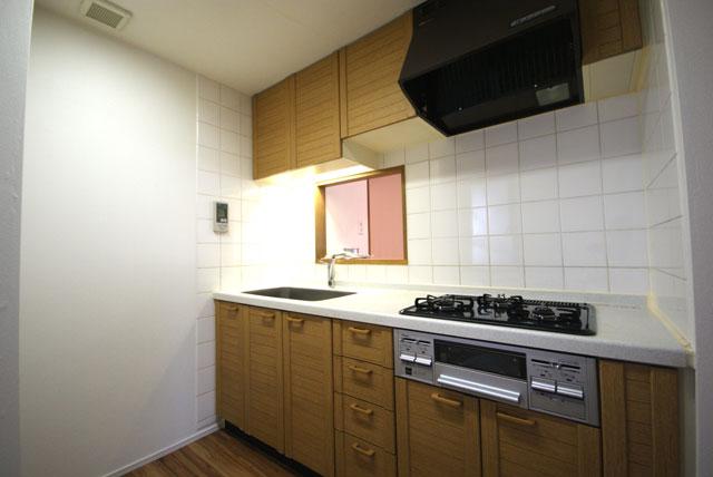 Kitchen. Indoor (10 May 2013) Shooting