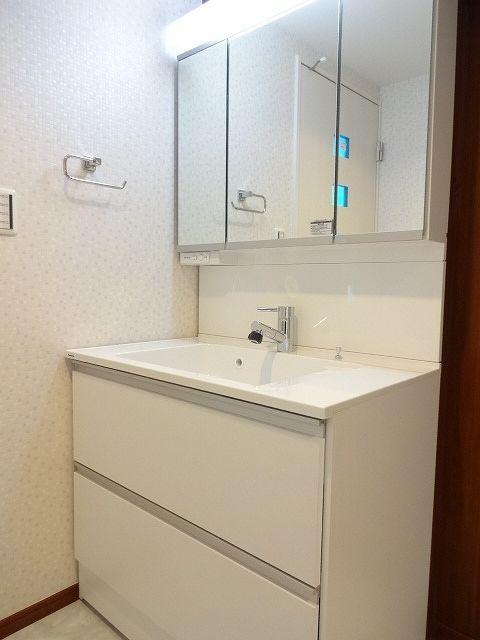 Wash basin, toilet. Bathroom vanity