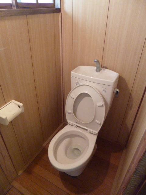 Toilet. Communal toilet