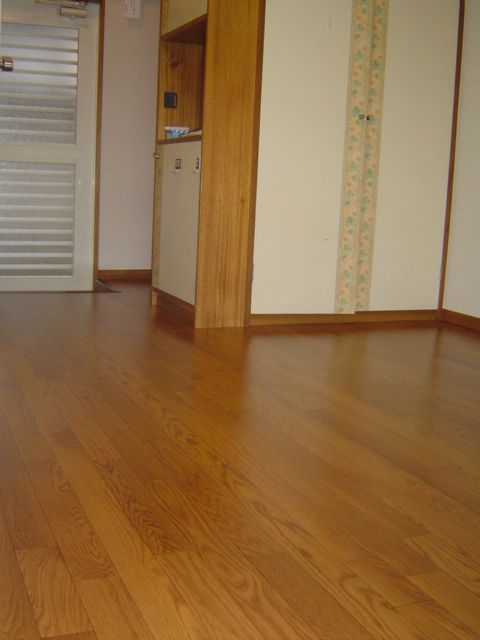 Living and room. Flooring of the room