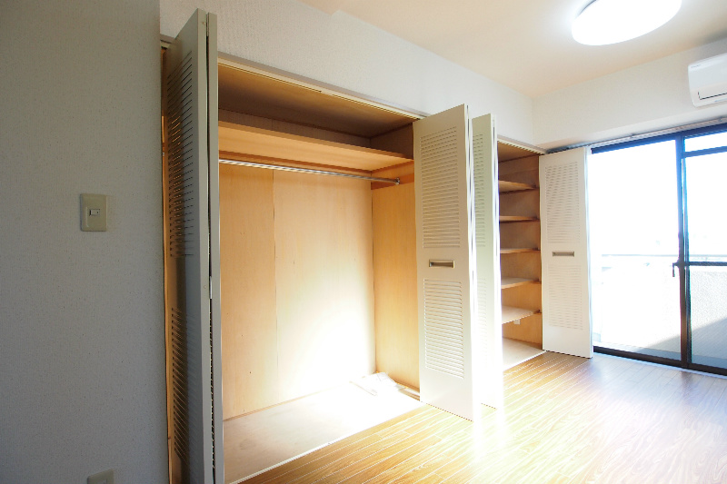 Living and room. Two places closet. You can clean storage