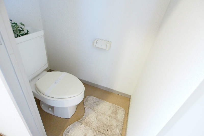 Toilet. Separate toilet is also spacious