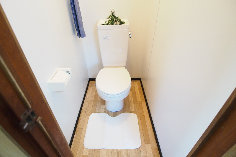 Toilet. I'm glad toilet independent space