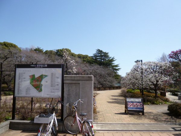 park. Tetsugakudo 200m to the park (park)