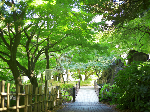Surrounding environment. Momijiyama park (about 410m / 6-minute walk)