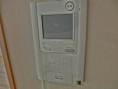 Security. TV monitor Hong