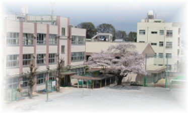 Primary school. Ward Shirosakura up to elementary school (elementary school) 508m