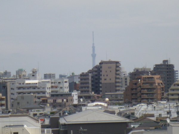 View. Sky tree also look