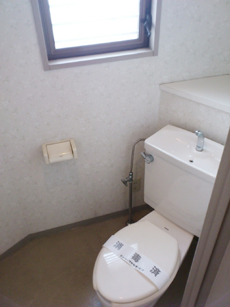 Toilet. Convenient because it is in the back there is a shelf