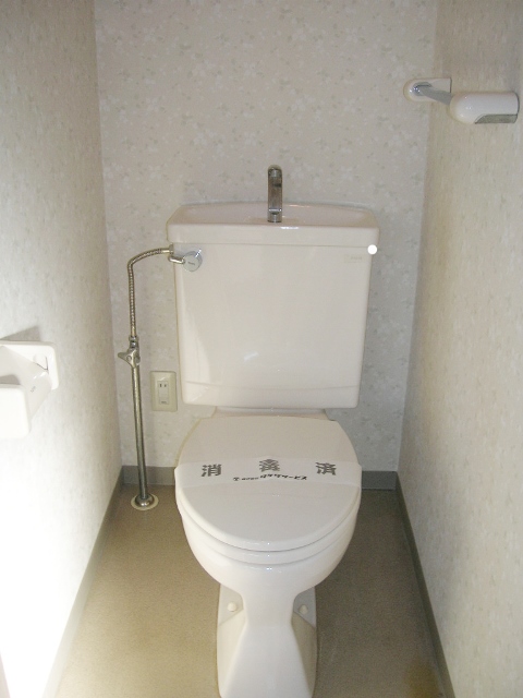 Toilet. The same type: reference photograph