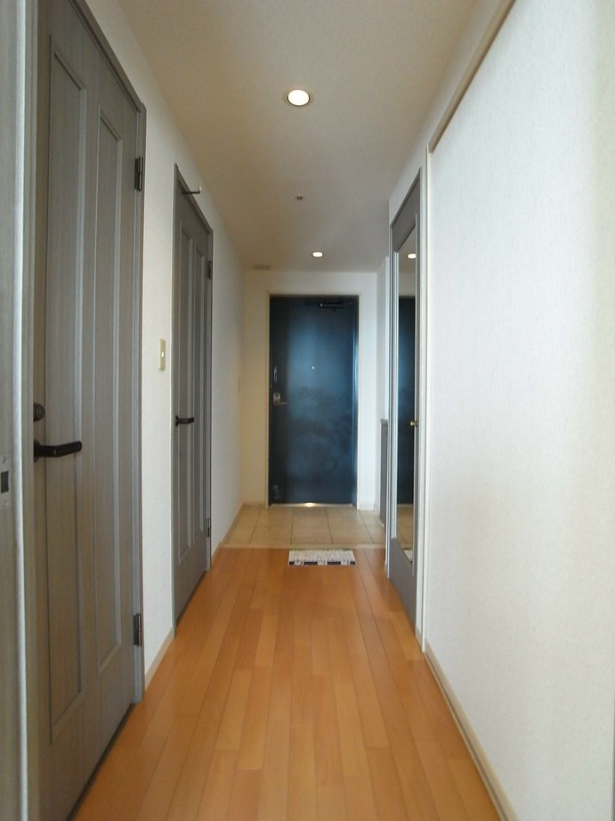 Entrance. Corridor