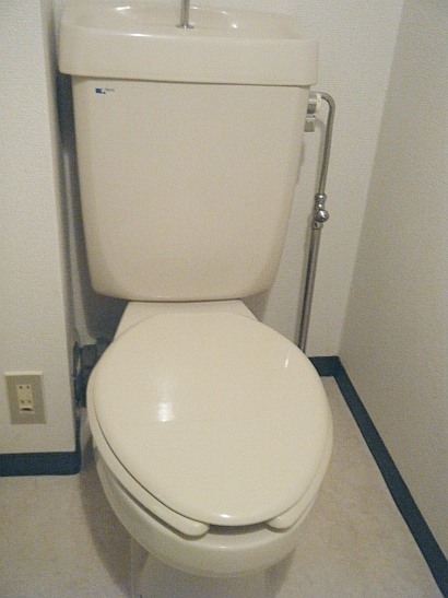 Toilet. Toilet