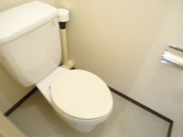 Toilet. Of course, the bath and toilet are separately