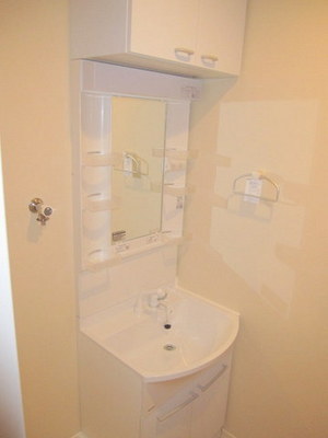 Washroom. Shampoo dresser