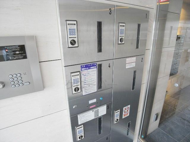 Entrance. Delivery Box