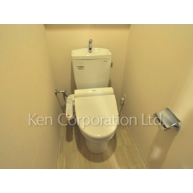Toilet. Shoot the same type the fifth floor of the room. Specifications may be different.