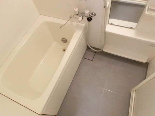 Bath. Bathing with additional heating