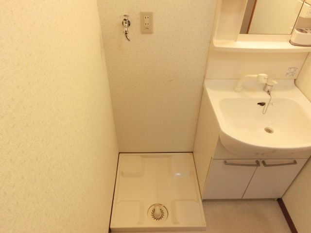 Other room space. Washing machine in the room
