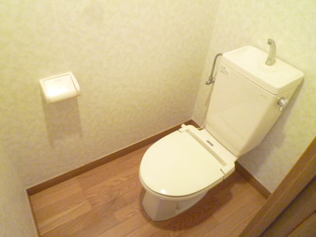 Toilet. Style toilet