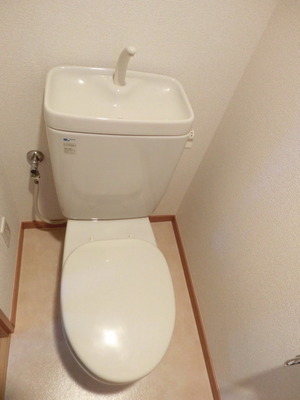 Toilet. Western-style toilet