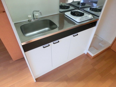 Kitchen. System Gasukitchin