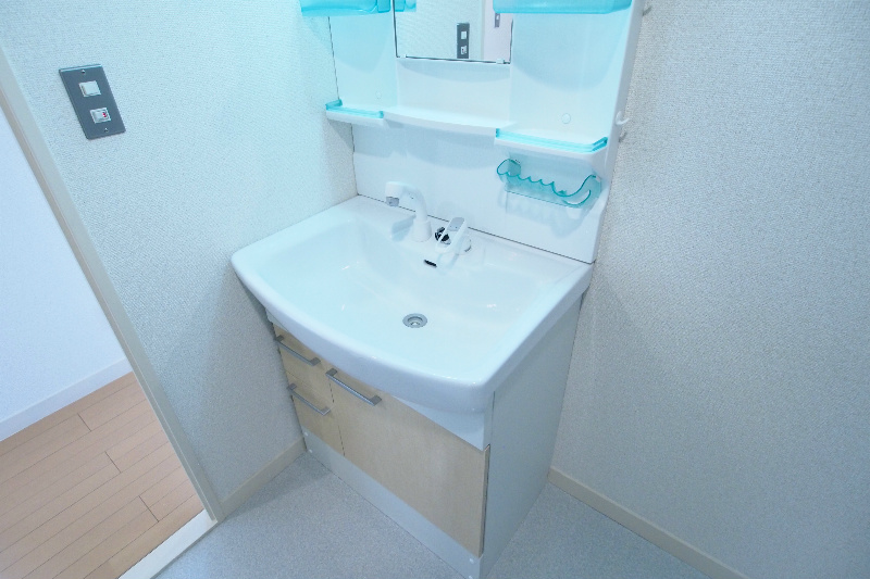 Washroom. Ease housed in a separate wash basin.