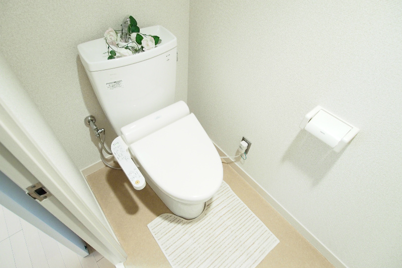 Toilet. Relax in the spread of the toilet.